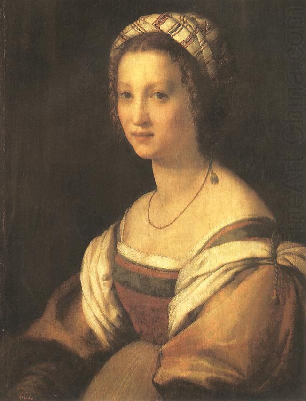 Andrea del Sarto Portrait of the Artist s Wife china oil painting image